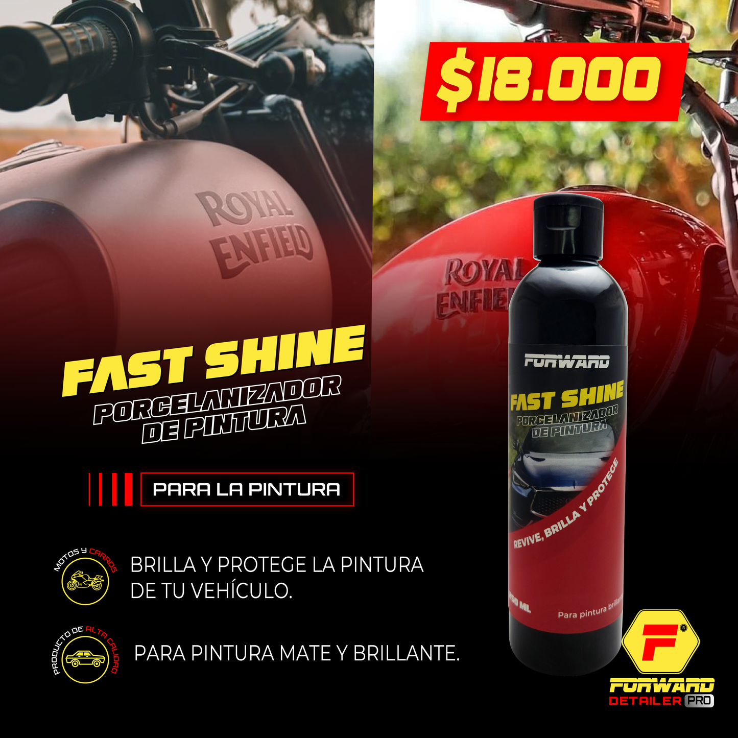 PORCELANIZADOR DE PINTURA - FAST SHINE