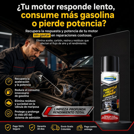 Limpiador de Cuerpo de Aceleracion Mariposa por 250 mL