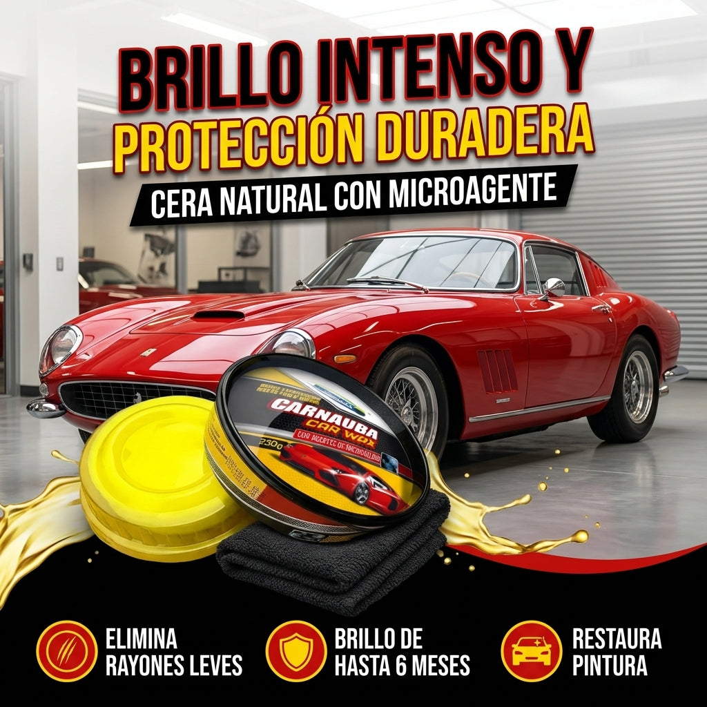 CERA CARNAUBA CAR WAX